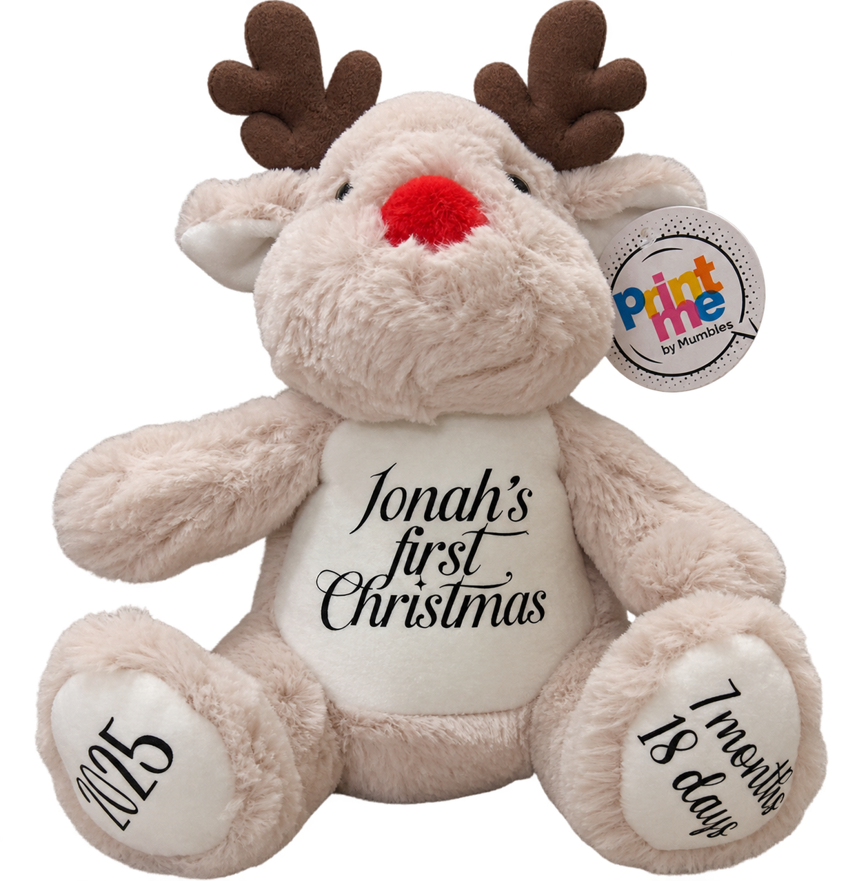 Reindeer - Image 2